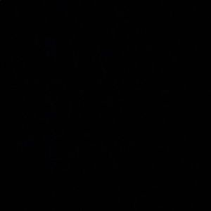 Meet your Posher, Riley